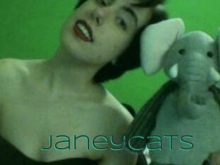 Janeycats