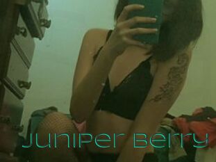 Juniper_Berry