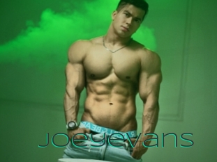 Joeyevans