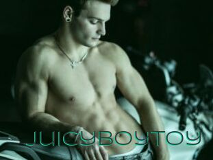 Juicyboytoy