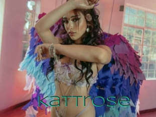 Kattrose