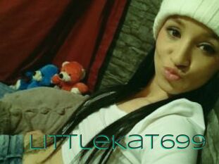 LittleKat699