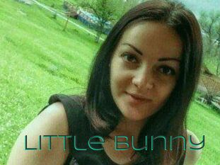 Little_Bunny_