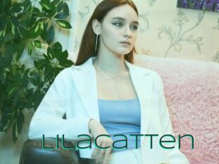 Lilacatten