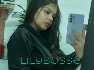 Lilybosse