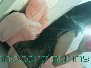 Little_innocent_bunny