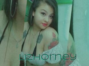 Lizhorney