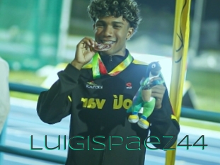 Luigispaez44