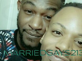 MARRIEDGAYS213