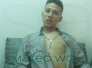 Mateo_Wolf