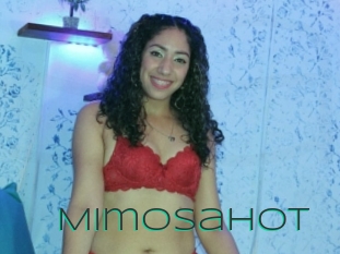 Mimosahot