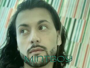 Mintboy