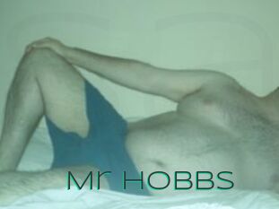 Mr_Hobbs