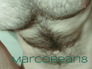 Marcobear18