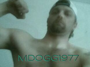 Mdogg1977