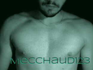 Mecchaud123