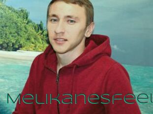 Melikanesfeel