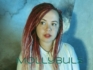 Mollybuls