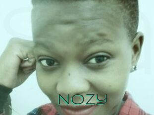 Nozy