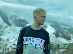 OSTIN_WELLS