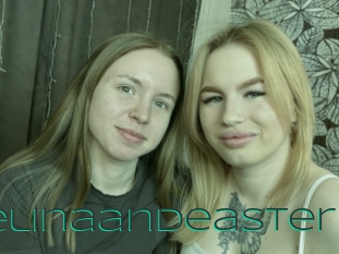 Odelinaandeaster