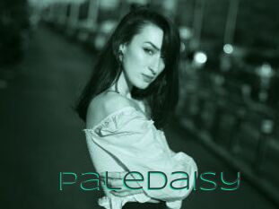 PaleDaisy