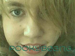 Pookybear16