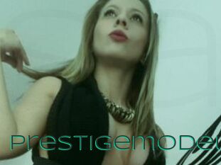 Prestigemodel