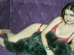Puse