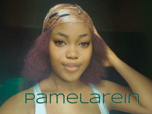 Pamelarein