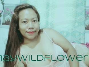 Pinaywildflower