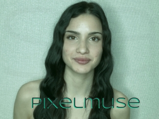 Pixelmuse