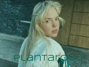 Plantarosa