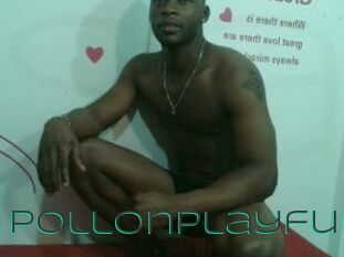 Pollonplayful