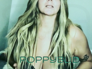 Poppybud