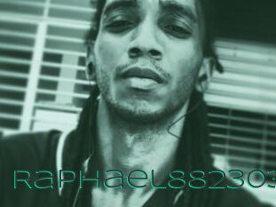 Raphael882303