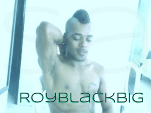 Royblackbig