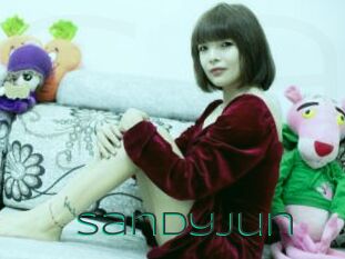 SandyJun