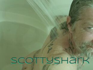 Scottyshark