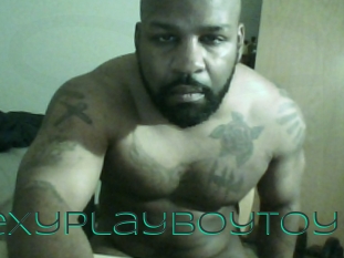 Sexyplayboytoy