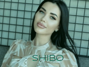 Shibo