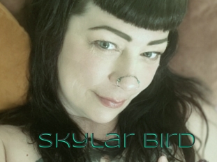 Skylar_bird