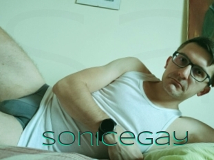 Sonicegay