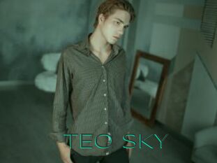 TEO_SKY