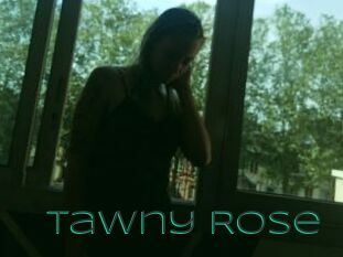 Tawny_Rose