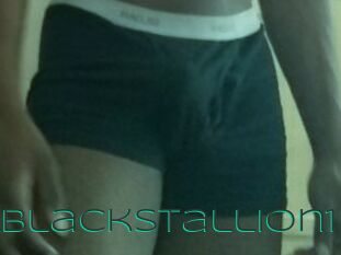 TheRealBlackStallion1