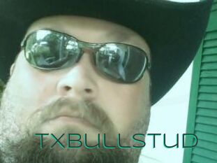 Txbullstud