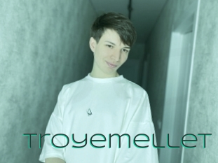 Troyemellet