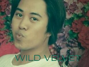 WILD_VELVET