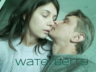 WaterBerry